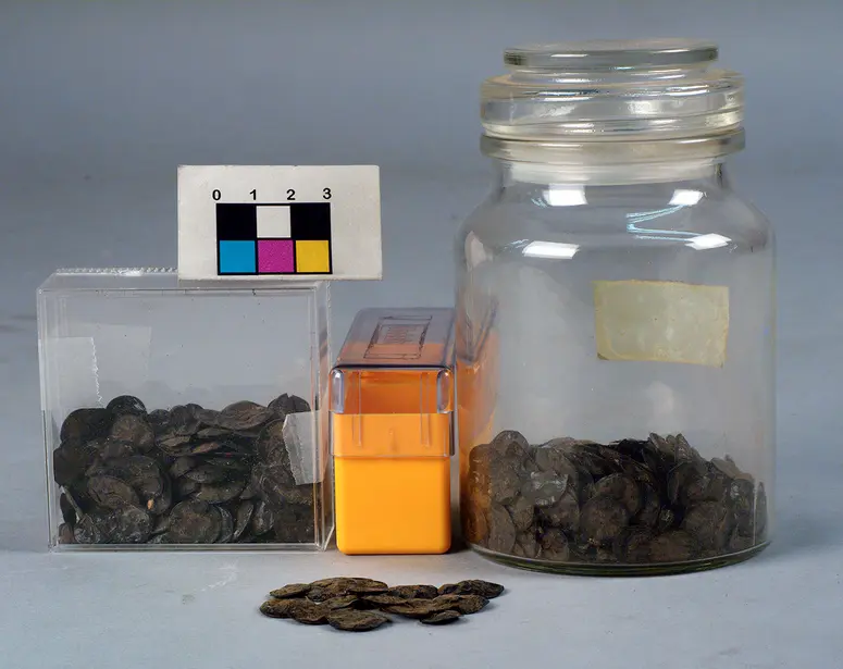 Samenkörner des Halluzinogens Parica