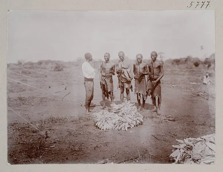Wapare (Bantu) im Lager von Sekiko Pangani-Thal