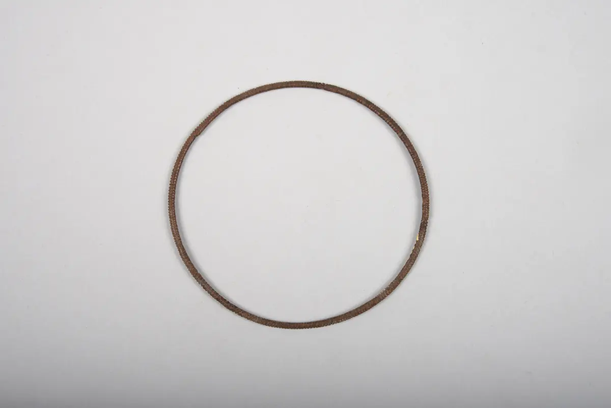 Bracelet or Ankle Bracelet