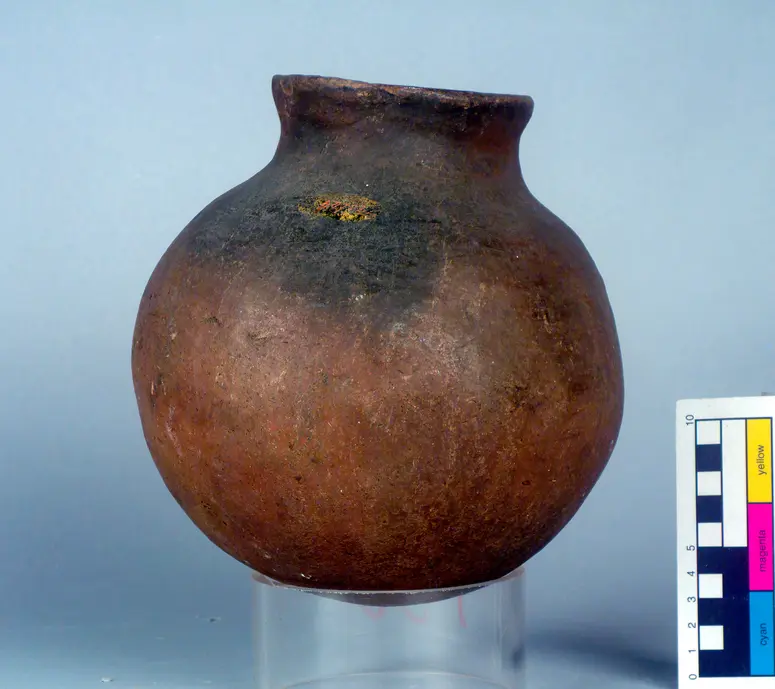Water pot