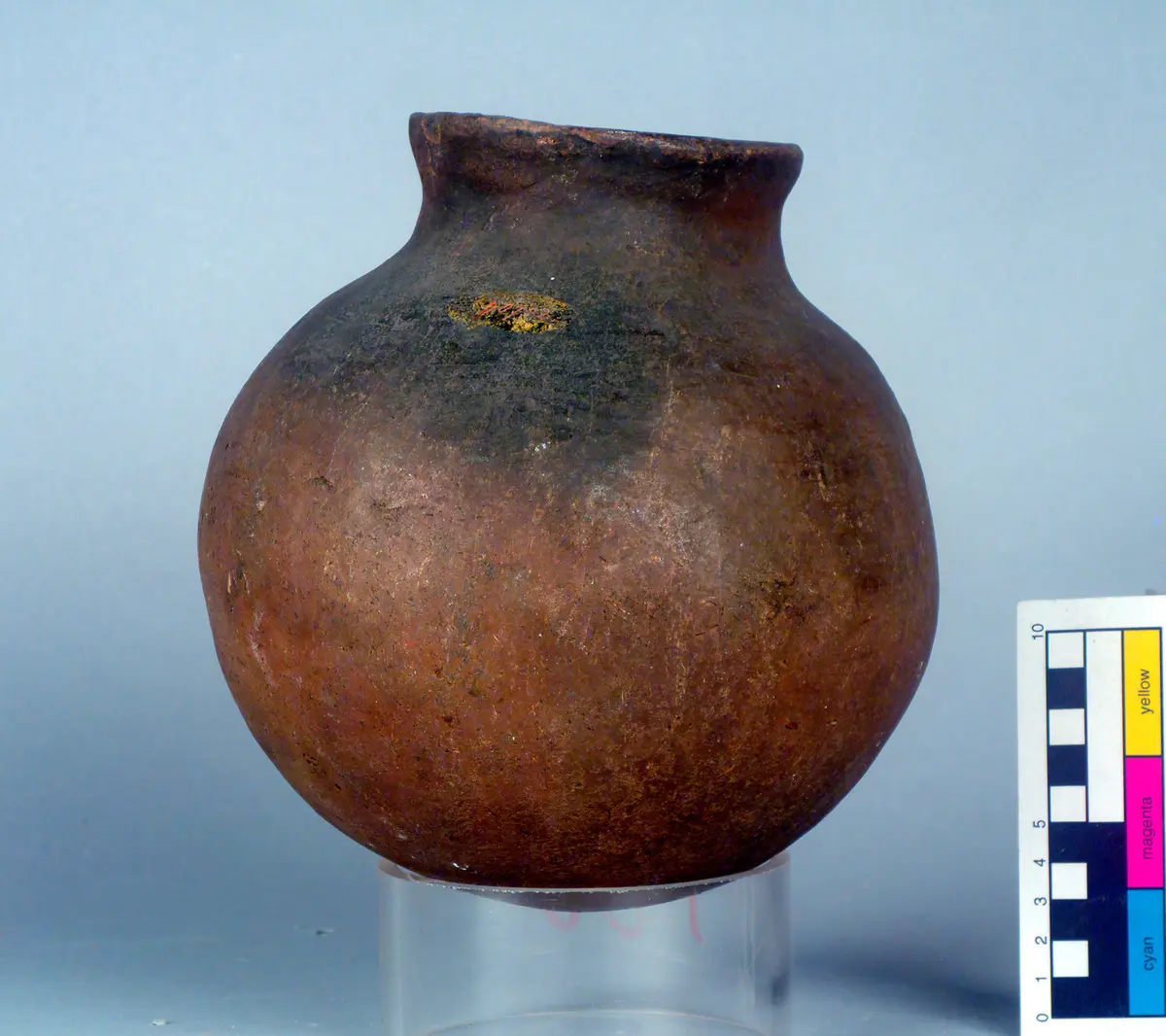 Water pot