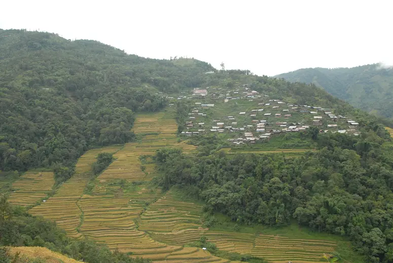 Dorf