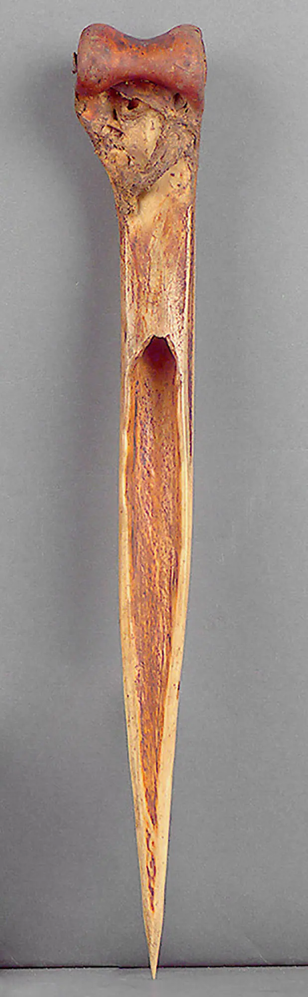 Knochendolch