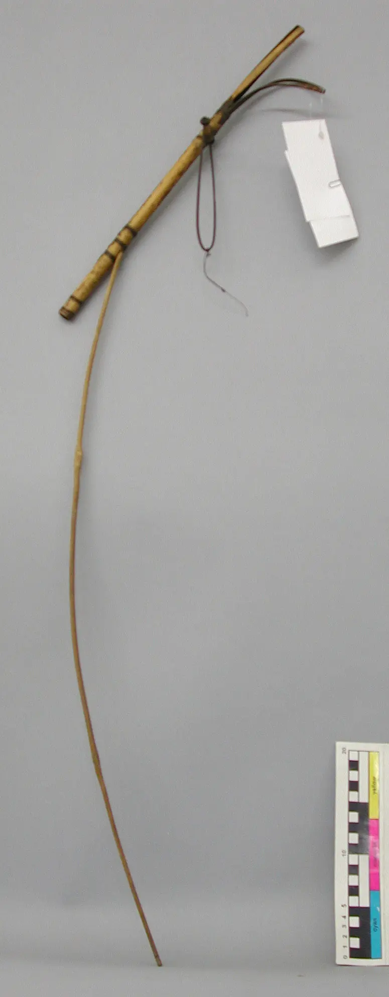Vogelfalle