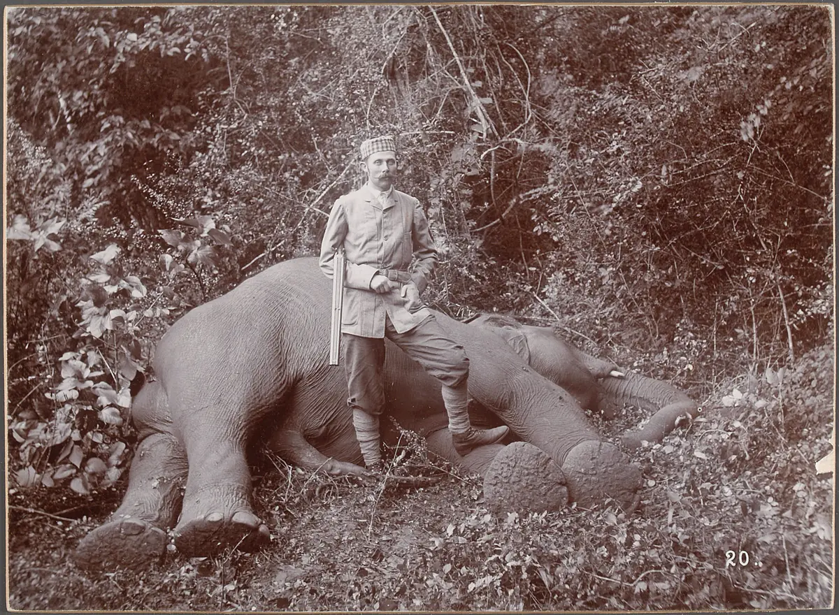 Sr k.u.k. Hoheit beim erlegten Elephanten