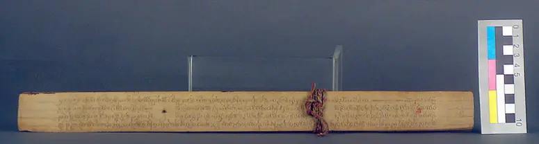 Text