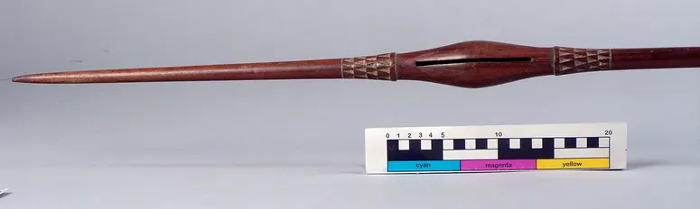 Rattle spear