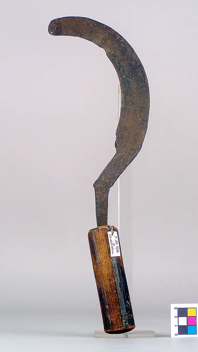 Sichel
