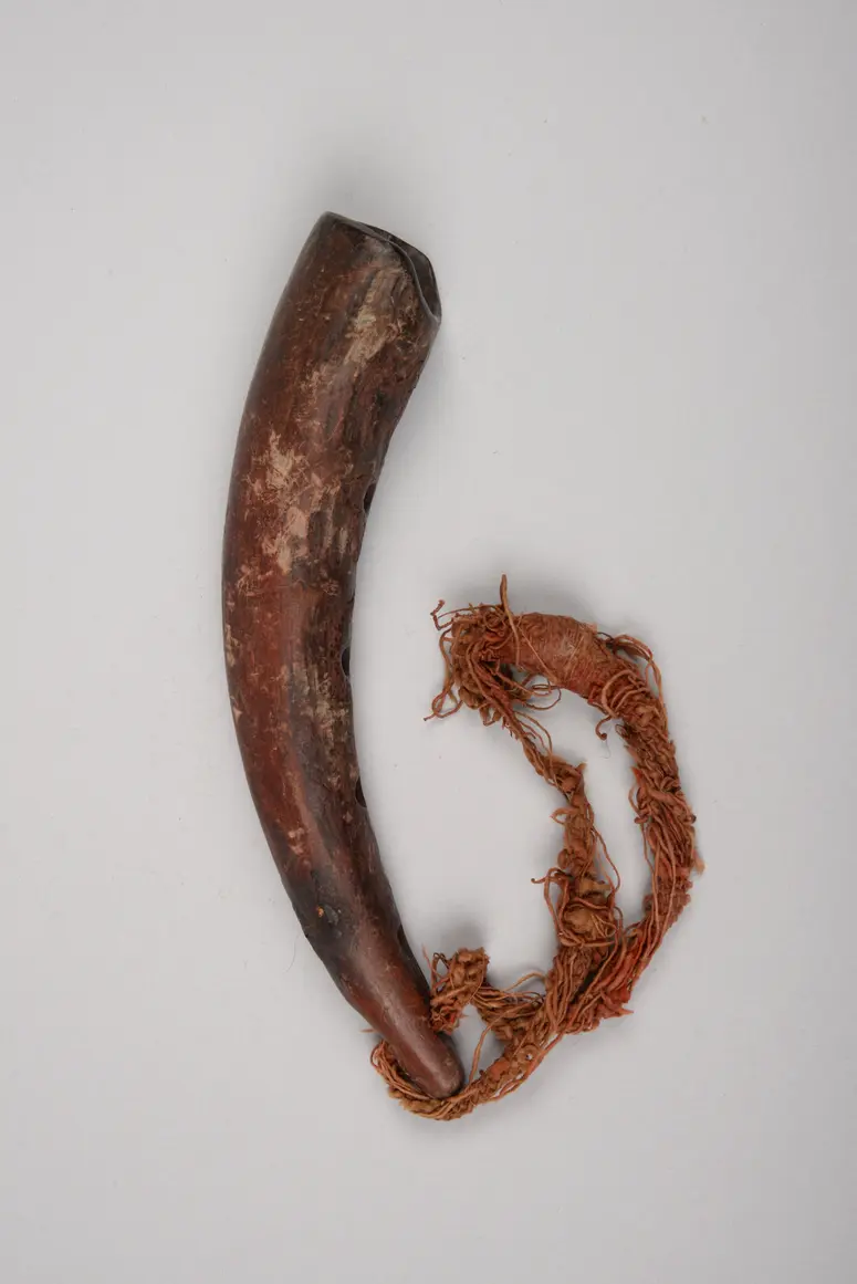 Instrument: Flöte