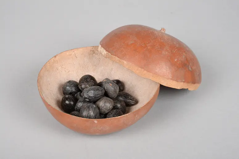Kalebasse mit Palmkernen (Bestandteil Ifá Orakelset)