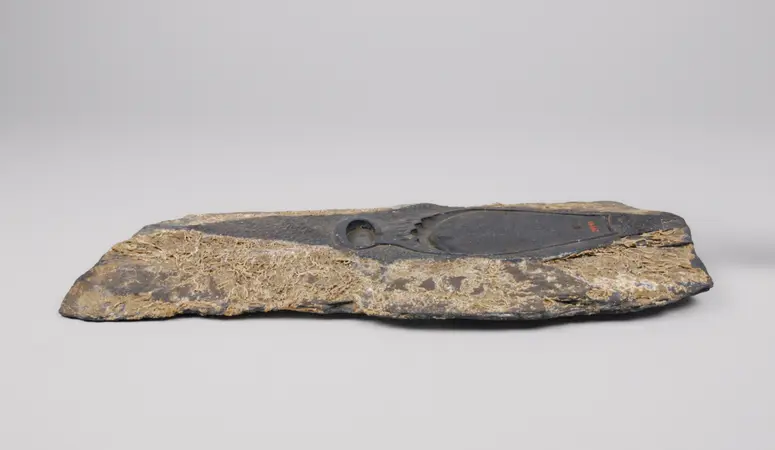 Tuschereibschale
