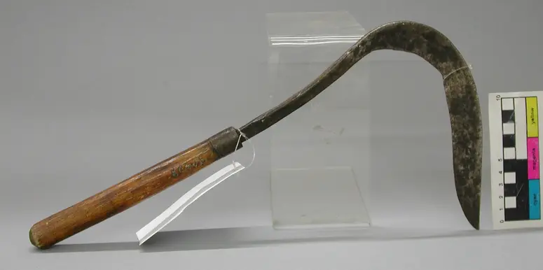 Sichel