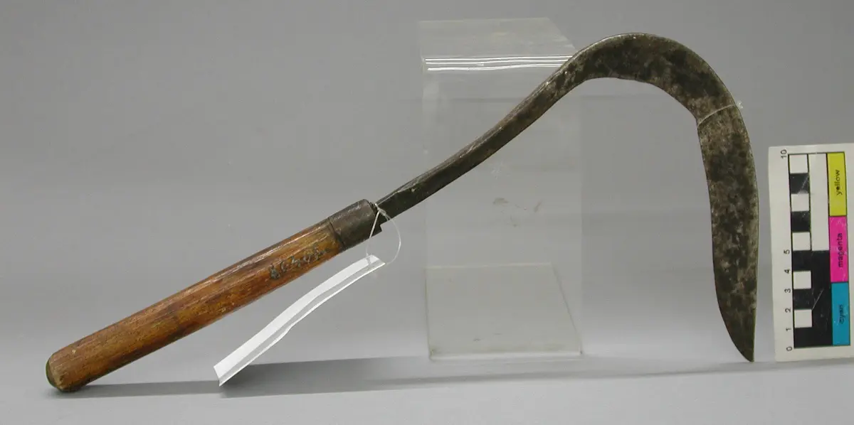 Sichel