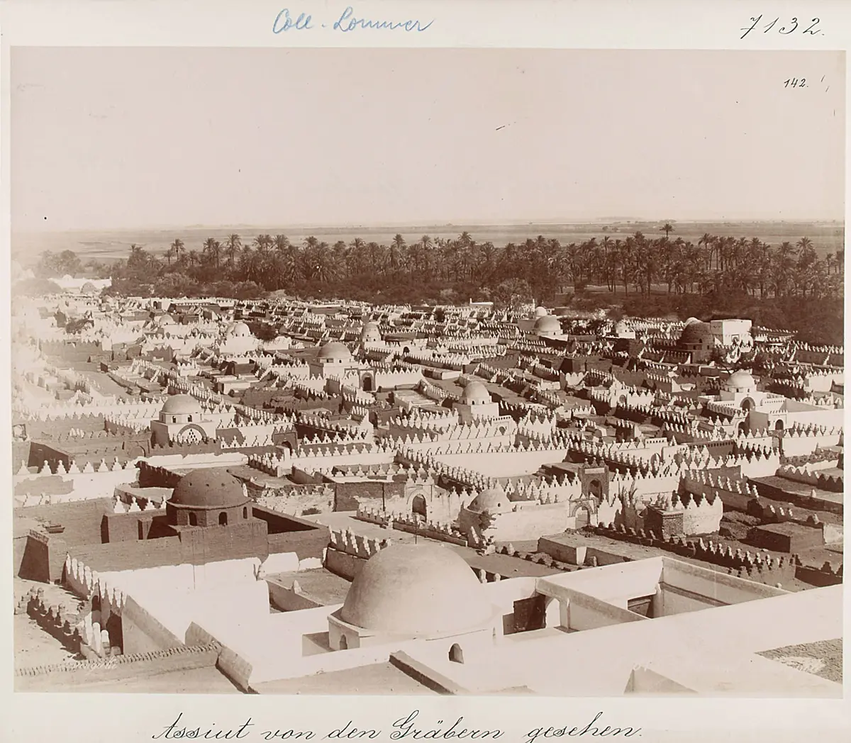 Assiut von den Gräbern gesehen