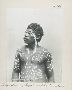 Aboriginal warrior, Boogoolmurra tribe, Queensland