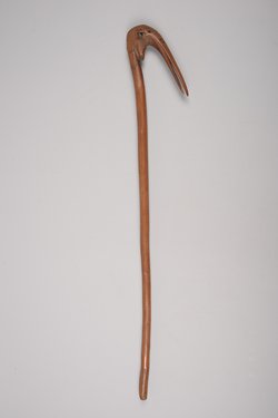Stab mit Vogelkopf