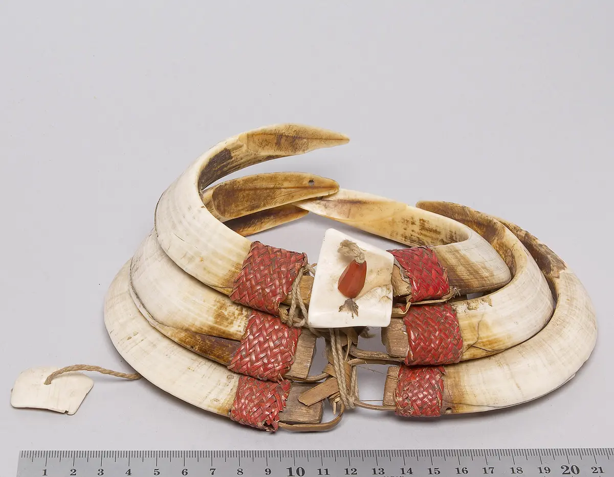 Neck ornament