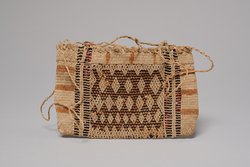 Pouch with Underwater Panther design