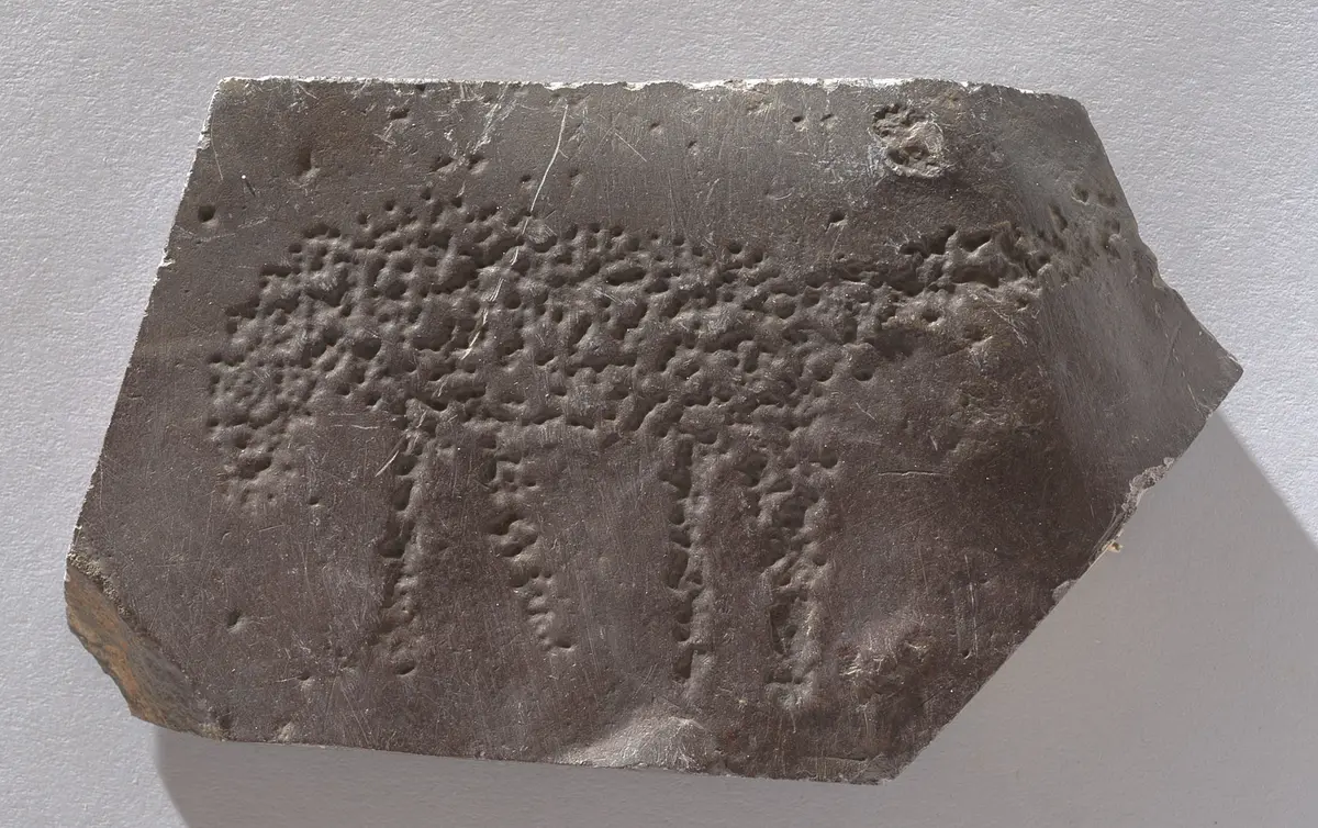 Felsgravierung: Gepard