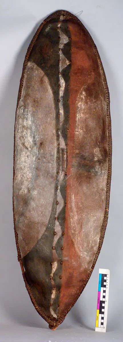 Shield