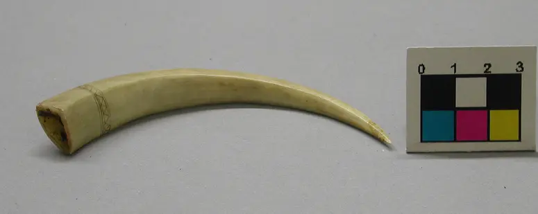 Kopfschmuck (Teil)