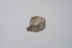 Fragment einer Lehmfigur: Strauß?