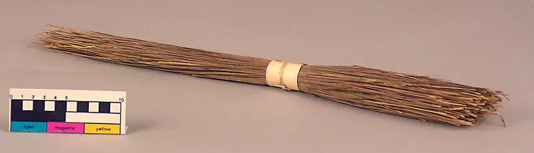 Grass Sample