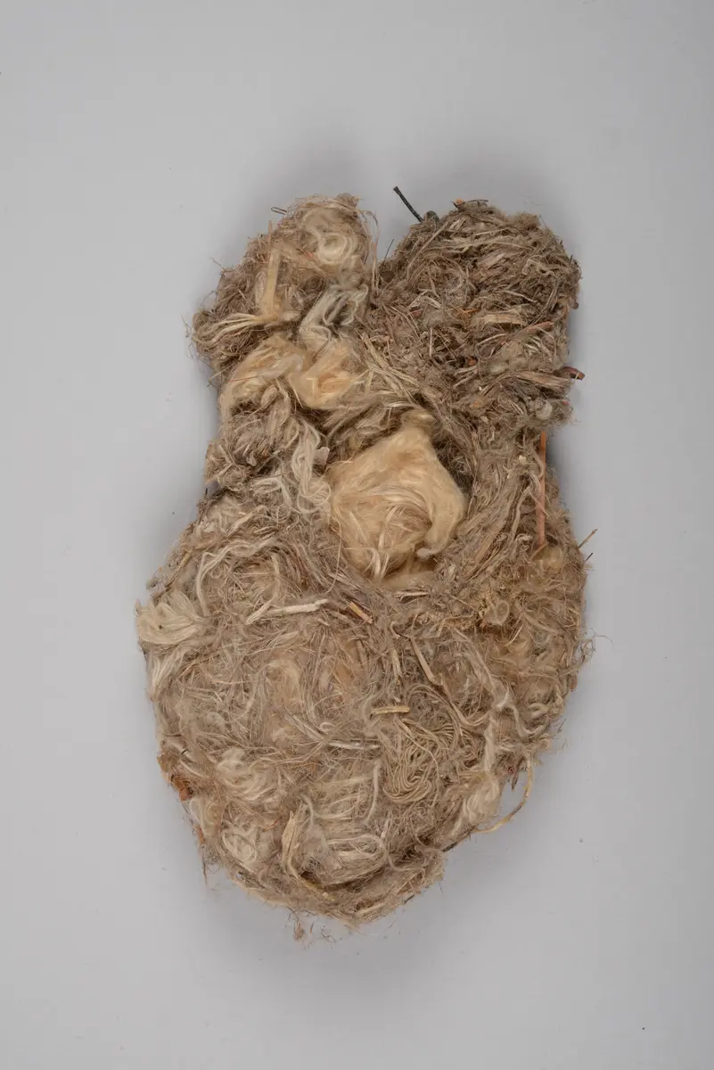 Amulett