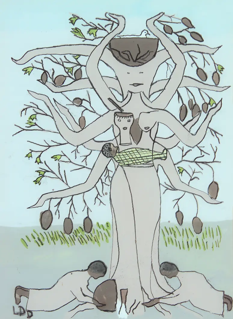Baobab