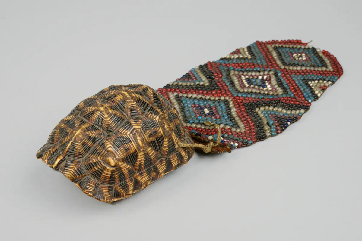 Schildkrötenpanzerbehälter
