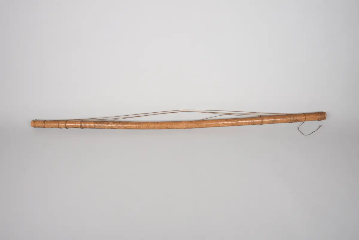 Instrument: Zither (Fehlender Resonanzkörper)