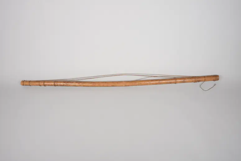 Instrument: Zither (Fehlender Resonanzkörper)