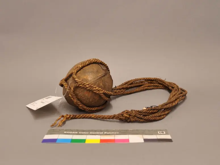 Coconut with Carrying Net