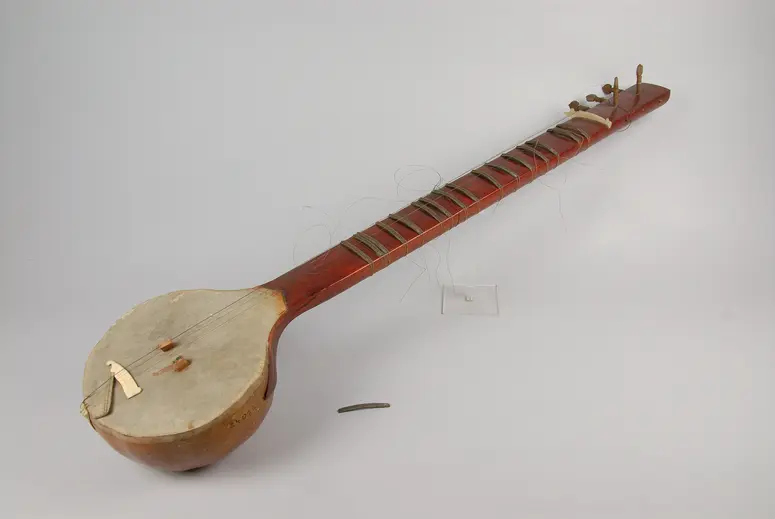 Musikinstrument Survina