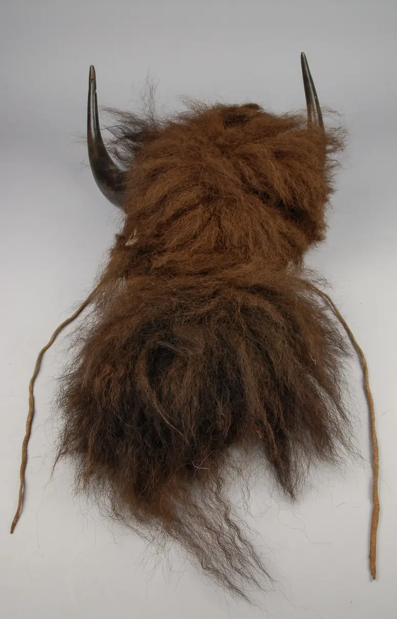 Bison-Kopfschmuck