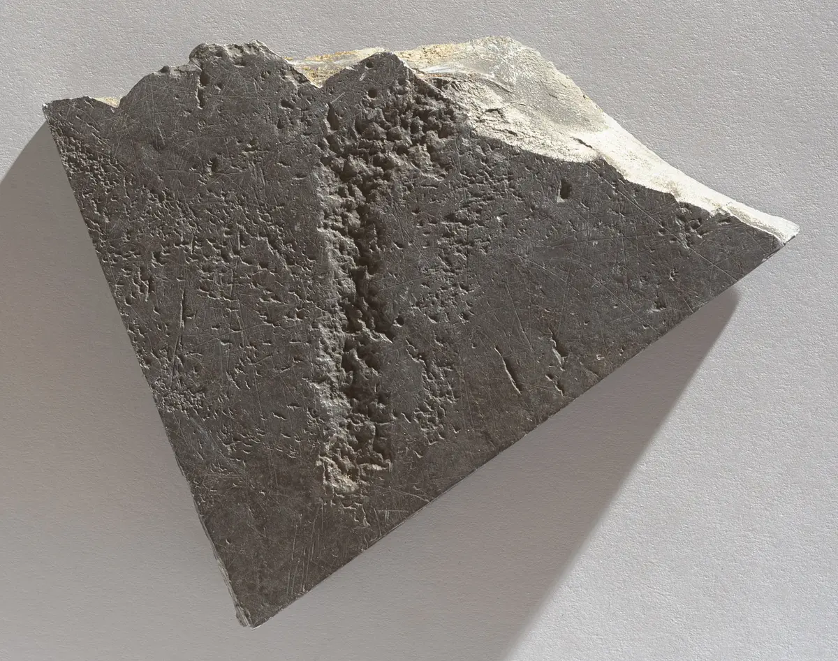 Felsgravierung: Strauß, Fragment