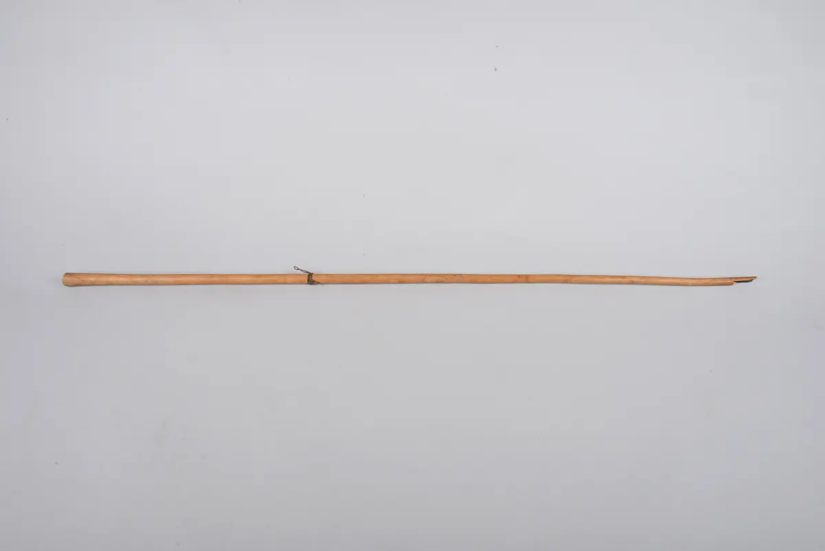 Pfeifenrohr