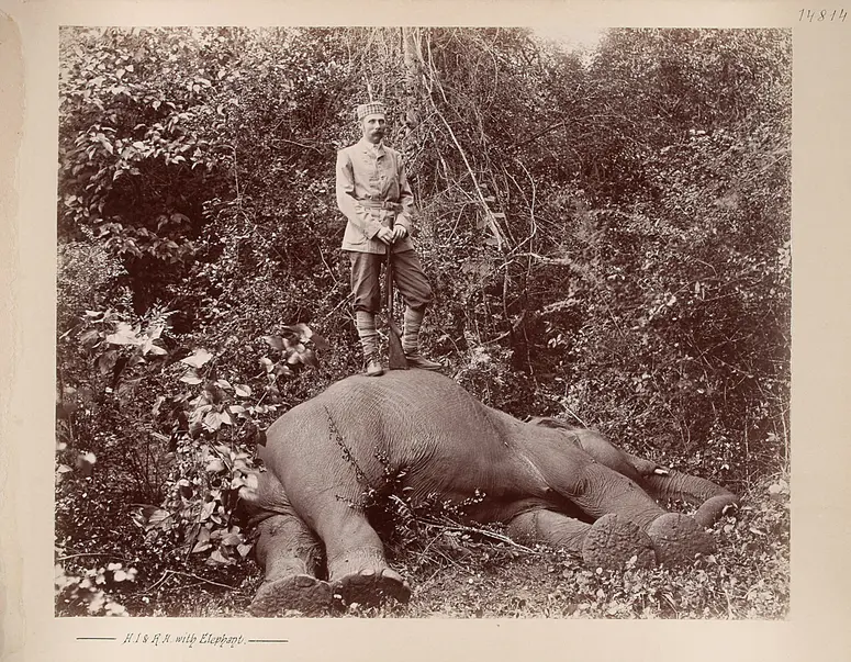 Sr k.u.k. Hoheit beim erlegten Elephanten
