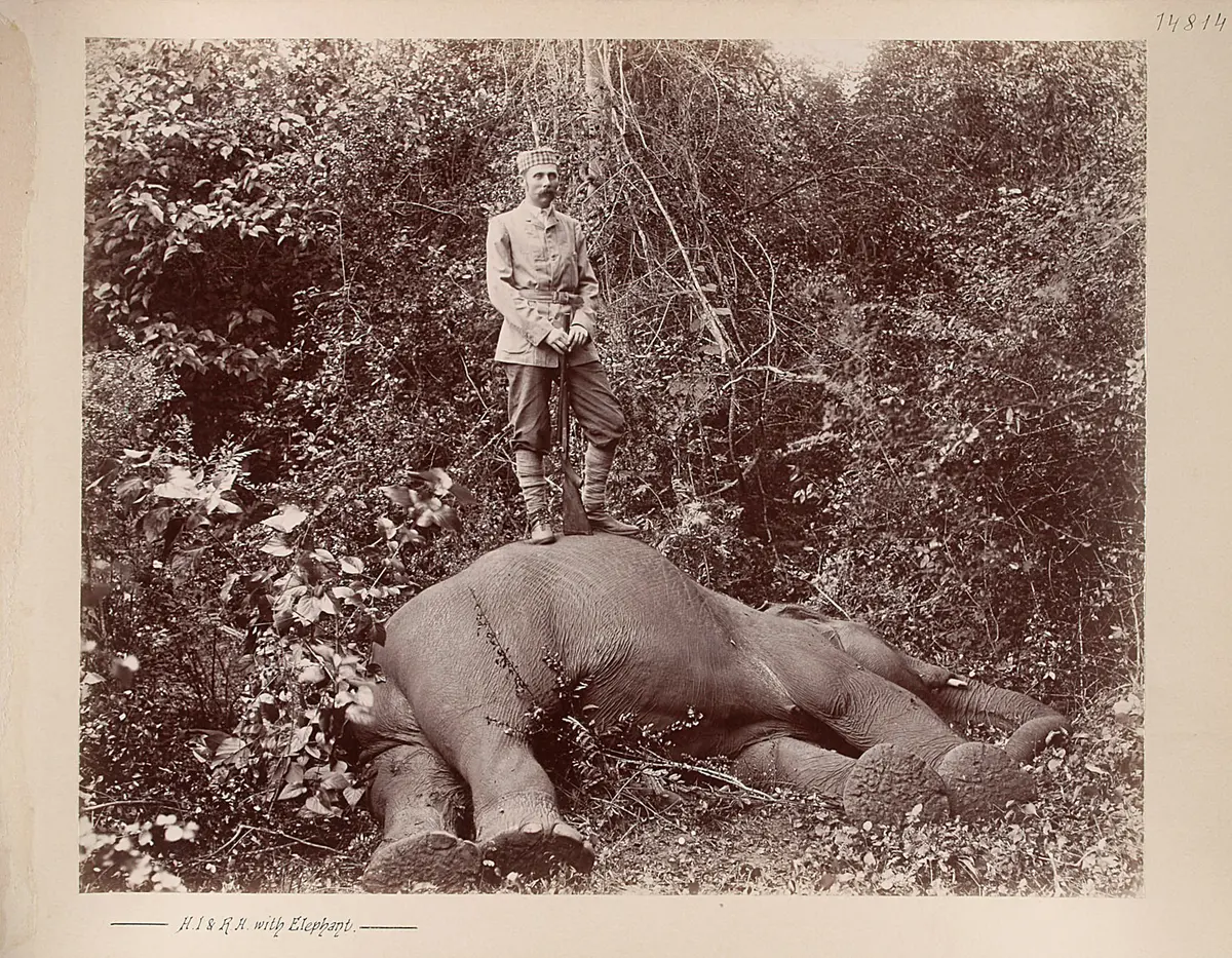 Sr k.u.k. Hoheit beim erlegten Elephanten