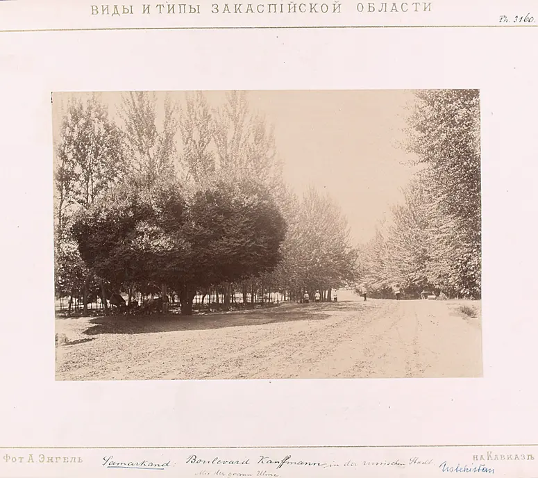 Boulevard Kauffman in der russischen Stadt. Mit der großen Ulme