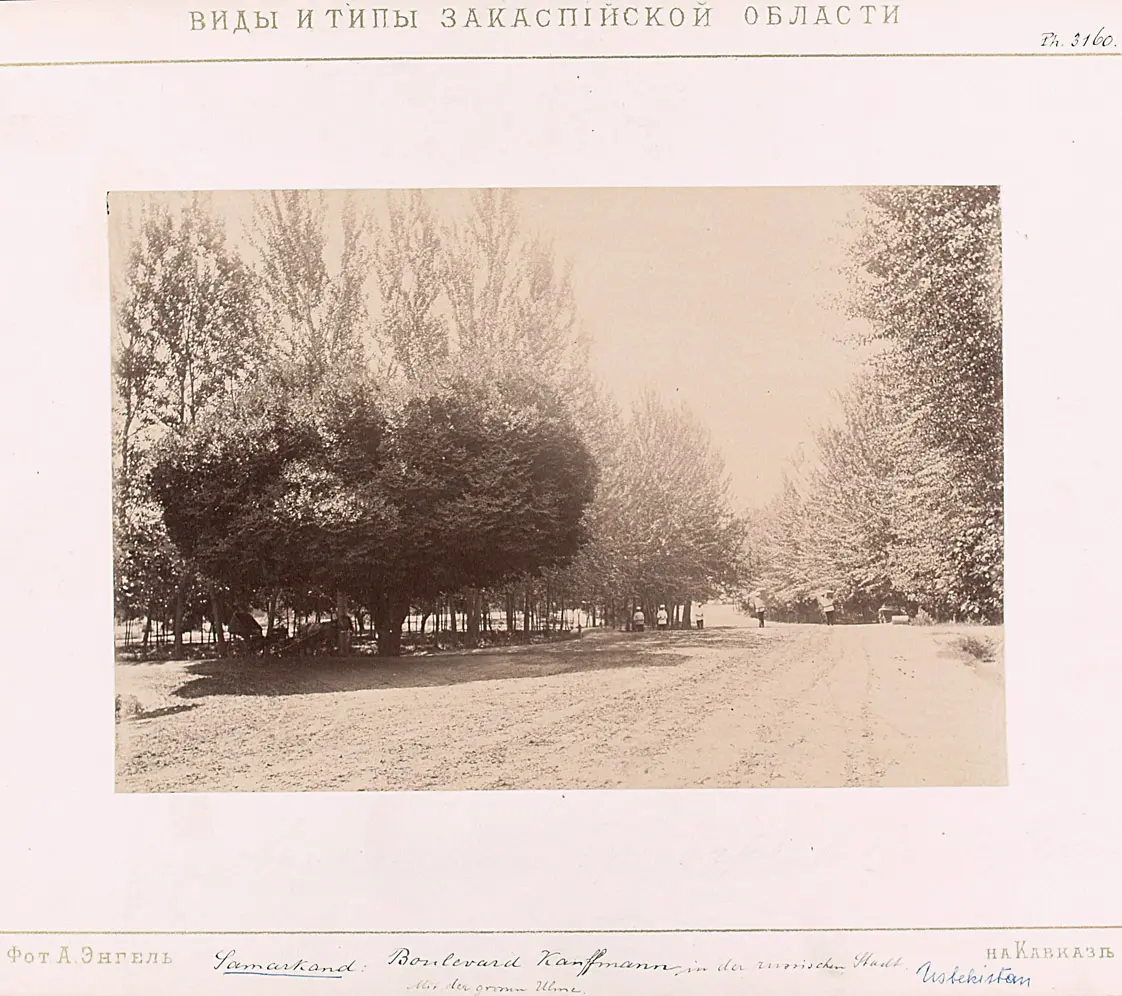 Boulevard Kauffman in der russischen Stadt. Mit der großen Ulme