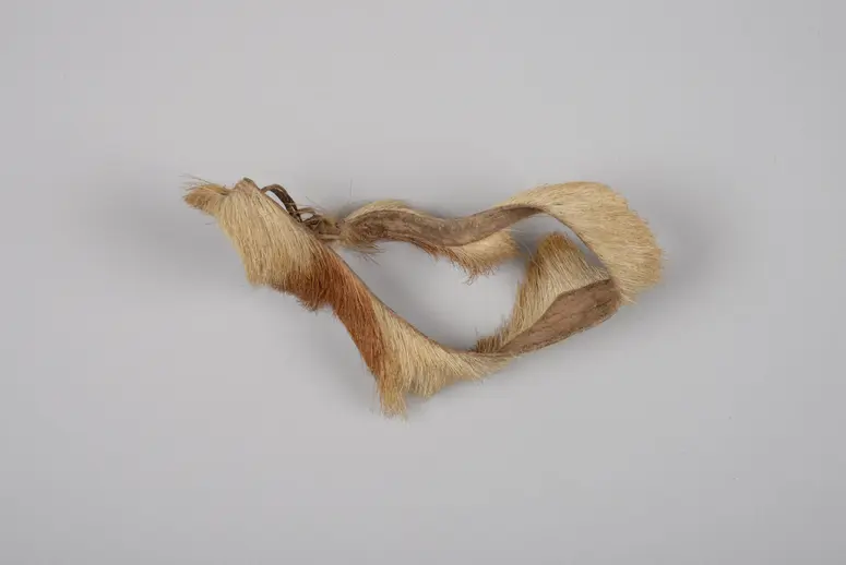 Fußreif