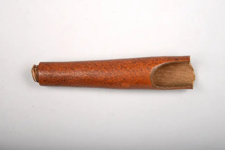 Blasinstrument