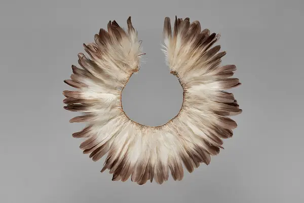 Feather headdress