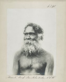 "Dhraub", Chief Bombola tribe, N.S.W.