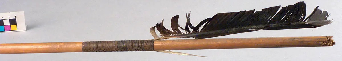 Arrow