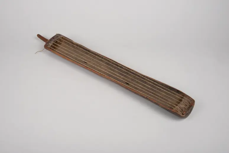 Saiteninstrument