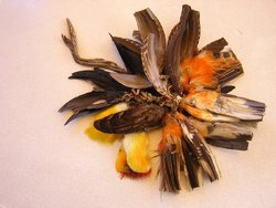 Schmuckanhänger aus Vogelbälgen und Federn