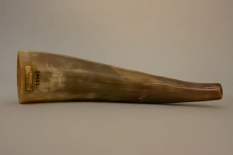 Musikinstrument, Sringa