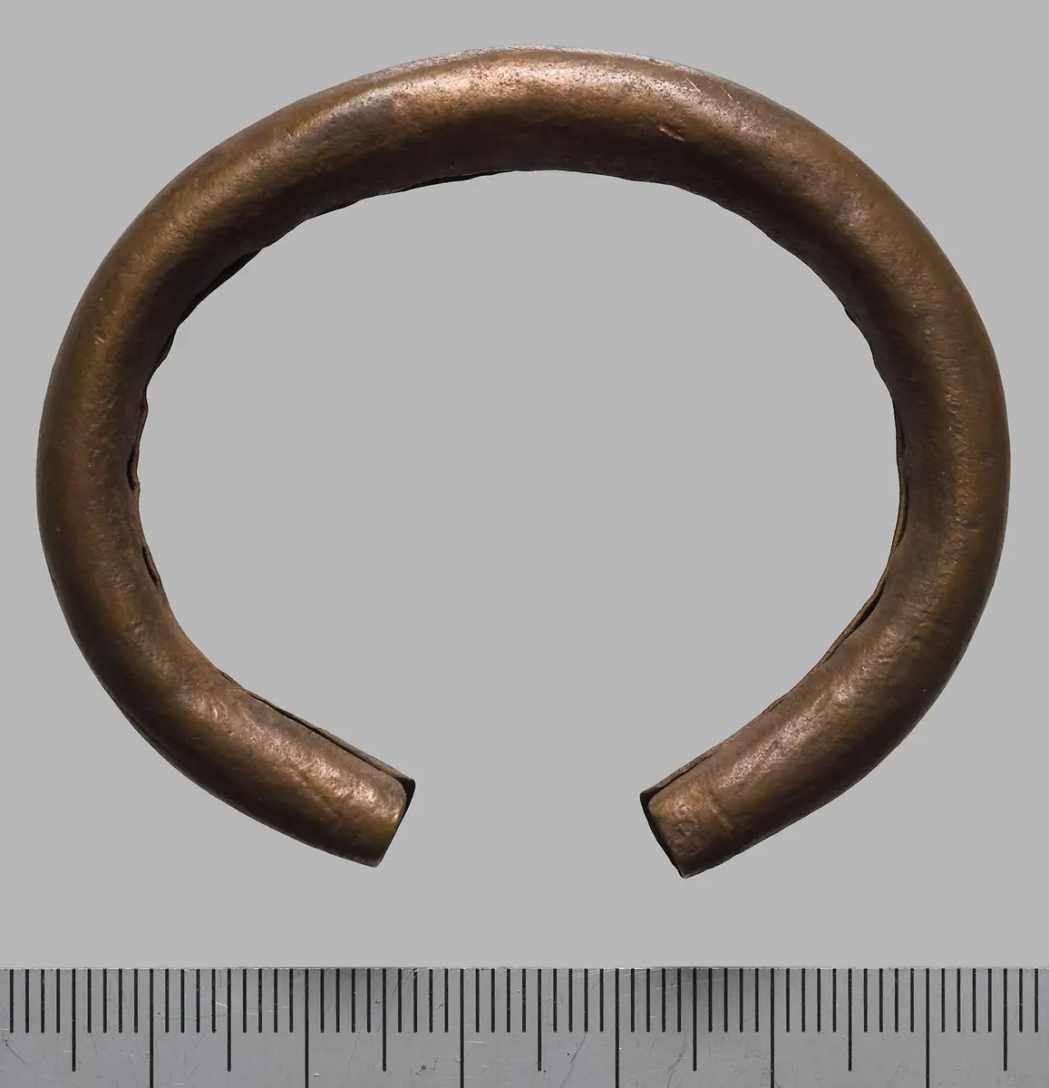 Nasenring